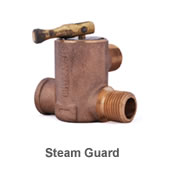 Steam Guard